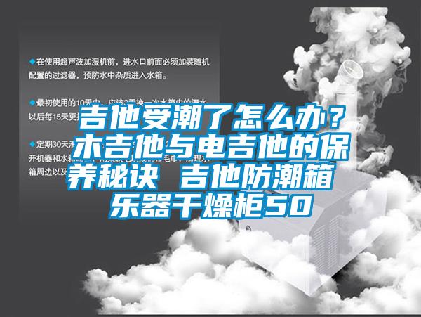 吉他受潮了怎么辦？木吉他與電吉他的保養(yǎng)秘訣 吉他防潮箱 樂器干燥柜50