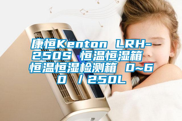 康恒Kenton LRH-250S 恒溫恒濕箱 恒溫恒濕檢測(cè)箱 0~60℃／250L