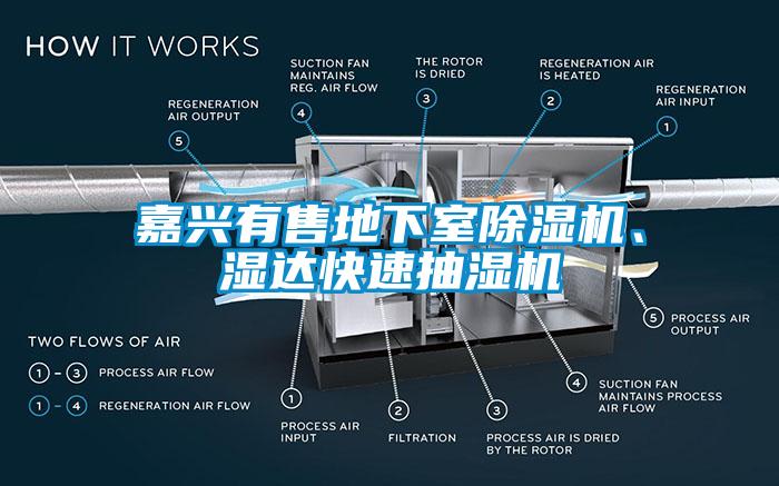 嘉興有售地下室除濕機、濕達快速抽濕機