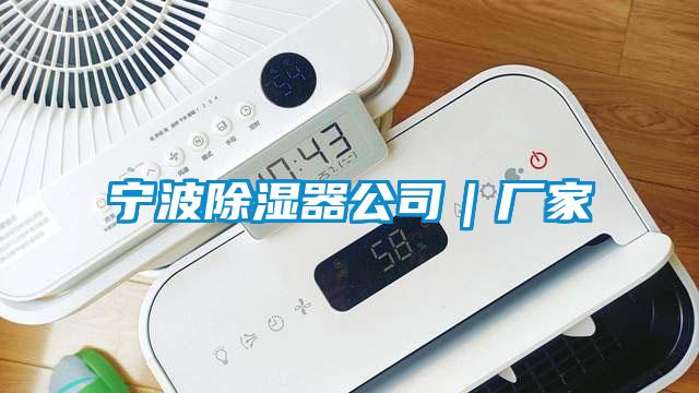 寧波除濕器公司｜廠家