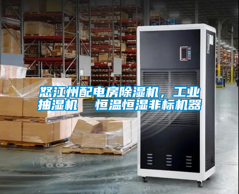 怒江州配電房除濕機，工業(yè)抽濕機  恒溫恒濕非標(biāo)機器