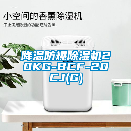 降溫防爆除濕機(jī)20KG-BCF-20CJ(G)