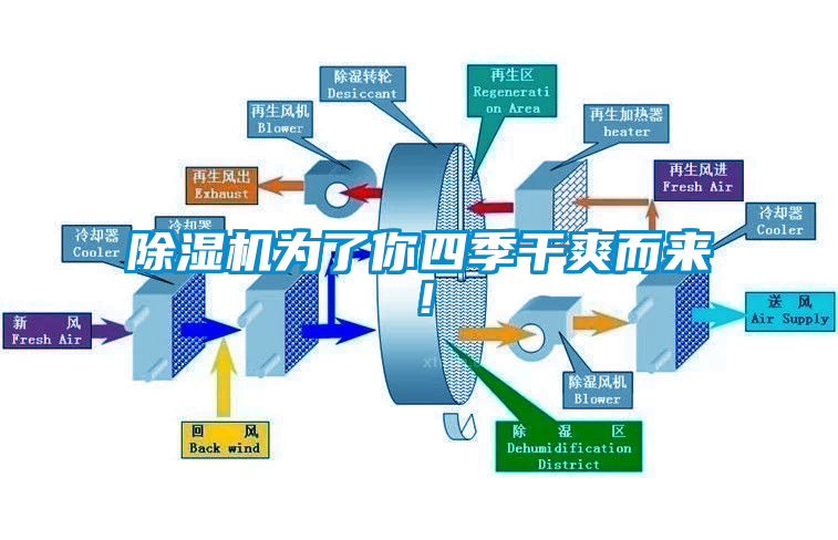 除濕機為了你四季干爽而來！