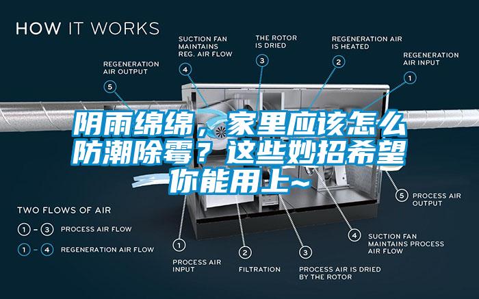 陰雨綿綿，家里應(yīng)該怎么防潮除霉？這些妙招希望你能用上~