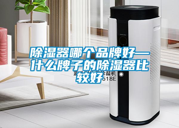 除濕器哪個品牌好—什么牌子的除濕器比較好