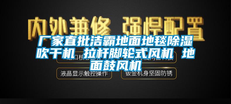 廠家直批潔霸地面地毯除濕吹干機(jī) 拉桿腳輪式風(fēng)機(jī) 地面鼓風(fēng)機(jī)