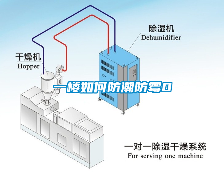 一樓如何防潮防霉0