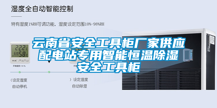 云南省安全工具柜廠家供應(yīng)配電站專用智能恒溫除濕安全工具柜