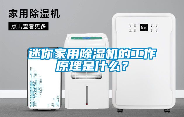 迷你家用除濕機的工作原理是什么？