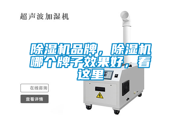 除濕機(jī)品牌，除濕機(jī)哪個(gè)牌子效果好，看這里