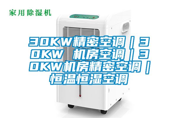 30KW精密空調(diào)｜30KW 機(jī)房空調(diào)｜30KW機(jī)房精密空調(diào)｜恒溫恒濕空調(diào)