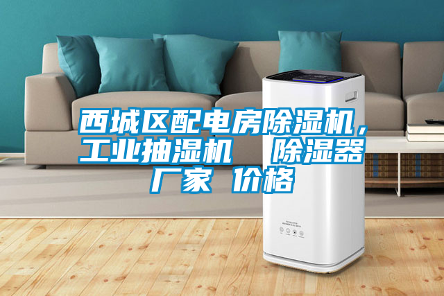 西城區(qū)配電房除濕機，工業(yè)抽濕機  除濕器廠家 價格