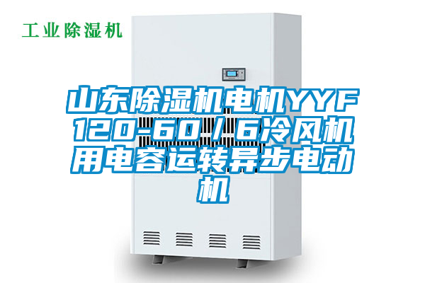 山東除濕機(jī)電機(jī)YYF120-60／6冷風(fēng)機(jī)用電容運(yùn)轉(zhuǎn)異步電動機(jī)