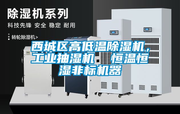 西城區(qū)高低溫除濕機，工業(yè)抽濕機  恒溫恒濕非標機器