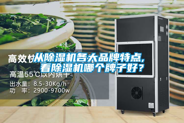 從除濕機(jī)各大品牌特點(diǎn), 看除濕機(jī)哪個(gè)牌子好？