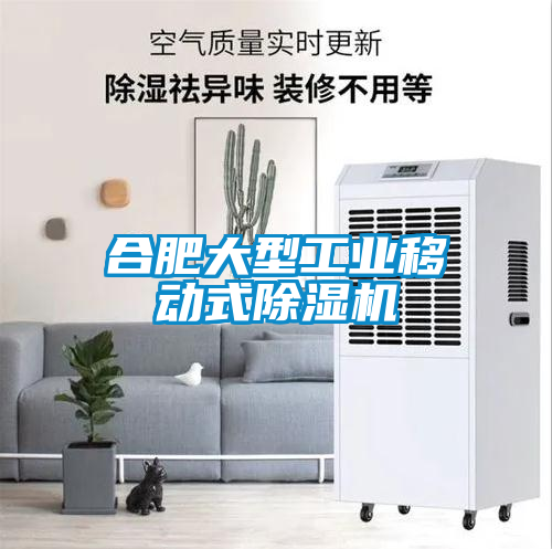 合肥大型工業(yè)移動式除濕機(jī)