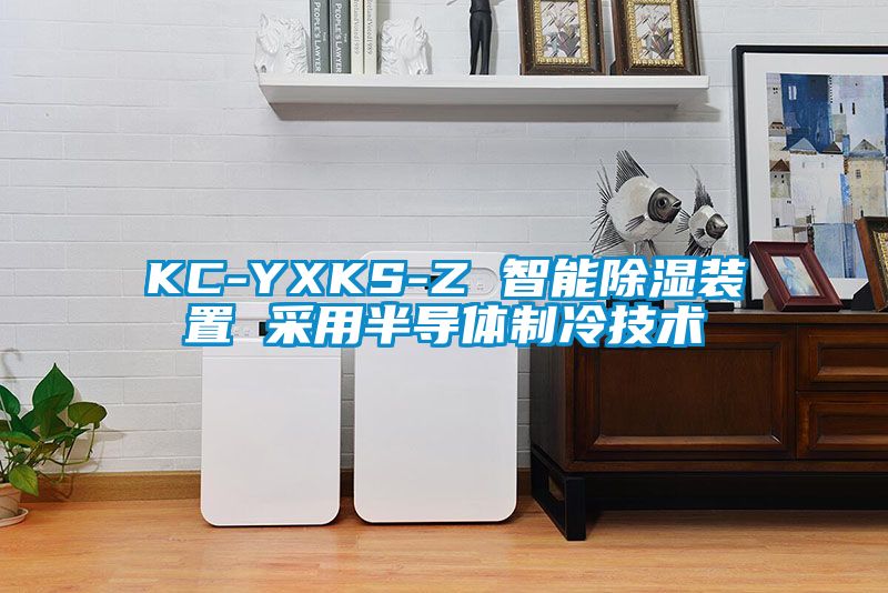 KC-YXKS-Z 智能除濕裝置 采用半導體制冷技術(shù)