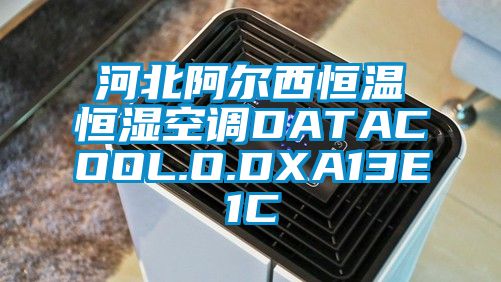 河北阿爾西恒溫恒濕空調DATACOOL.O.DXA13E1C