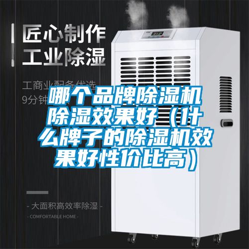 哪個(gè)品牌除濕機(jī)除濕效果好（什么牌子的除濕機(jī)效果好性價(jià)比高）