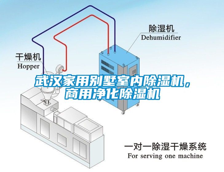 武漢家用別墅室內(nèi)除濕機，商用凈化除濕機