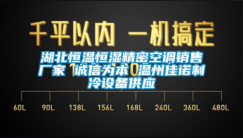 湖北恒溫恒濕精密空調(diào)銷售廠家 誠信為本 溫州佳諾制冷設(shè)備供應(yīng)