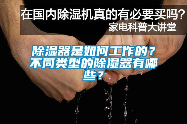 除濕器是如何工作的？不同類型的除濕器有哪些？