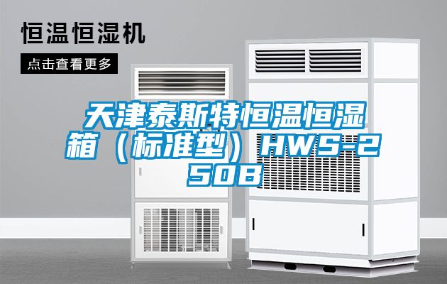 天津泰斯特恒溫恒濕箱（標(biāo)準(zhǔn)型）HWS-250B