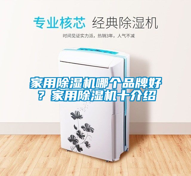 家用除濕機哪個品牌好？家用除濕機十介紹