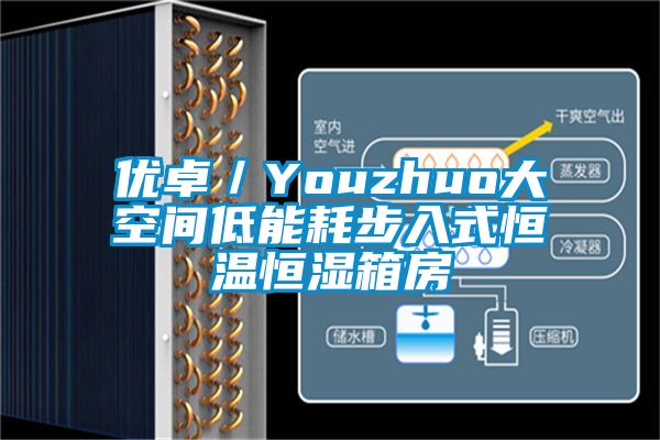 優(yōu)卓／Youzhuo大空間低能耗步入式恒溫恒濕箱房