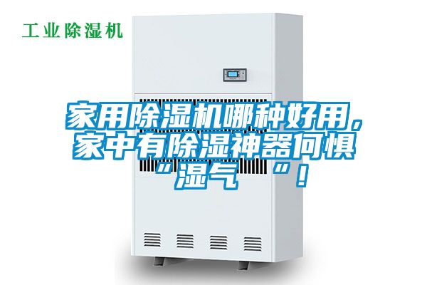 家用除濕機哪種好用，家中有除濕神器何懼 “濕氣 “！