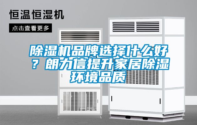 除濕機品牌選擇什么好？朗力信提升家居除濕環(huán)境品質(zhì)