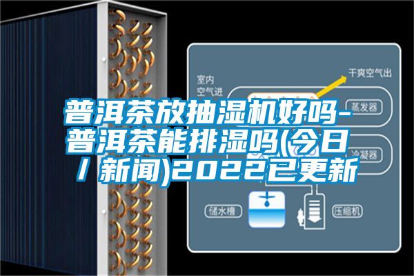 普洱茶放抽濕機(jī)好嗎-普洱茶能排濕嗎(今日／新聞)2022已更新