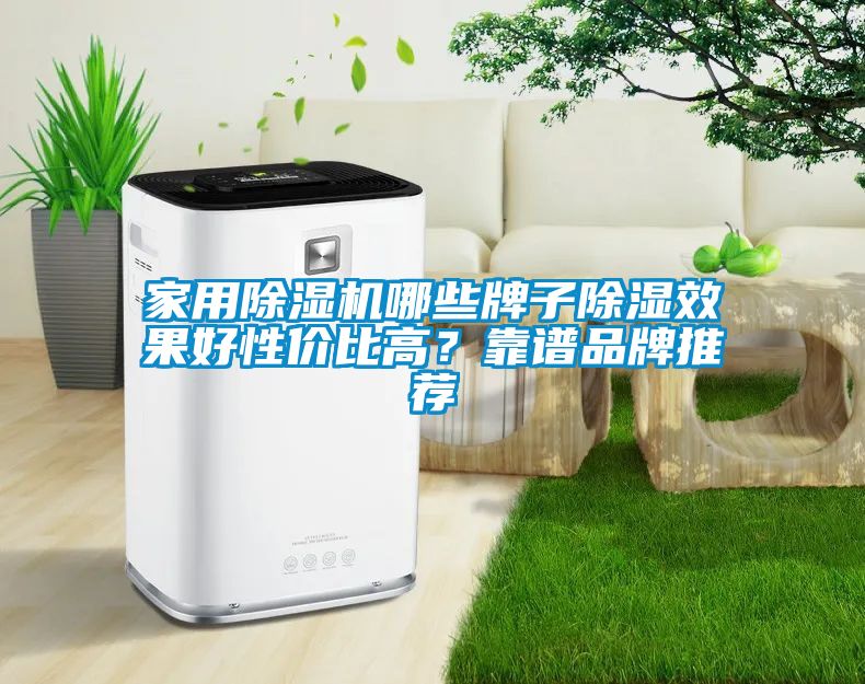 家用除濕機(jī)哪些牌子除濕效果好性價(jià)比高？靠譜品牌推薦