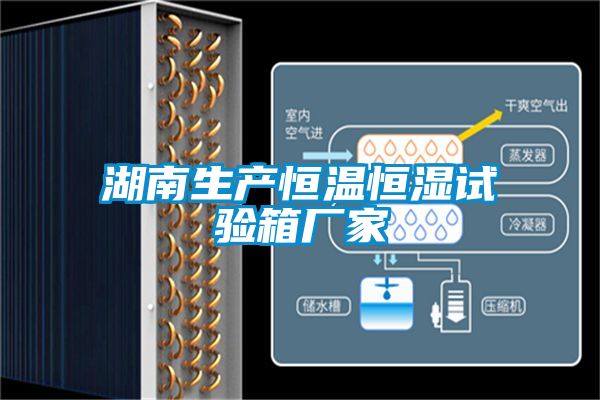 湖南生產(chǎn)恒溫恒濕試驗(yàn)箱廠家