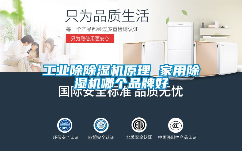 工業(yè)除除濕機原理 家用除濕機哪個品牌好