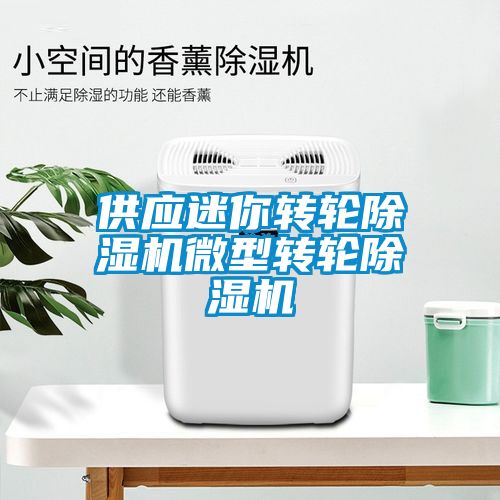 供應迷你轉輪除濕機微型轉輪除濕機