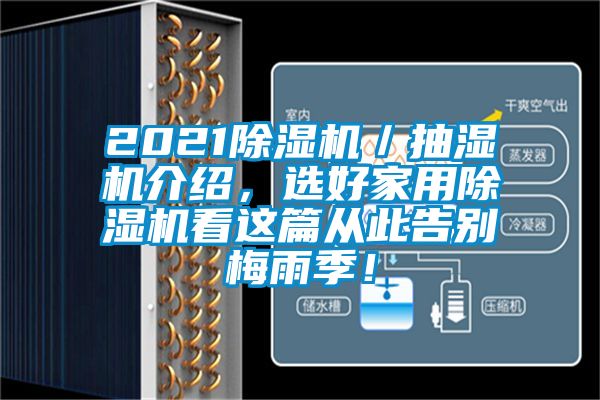 2021除濕機／抽濕機介紹，選好家用除濕機看這篇從此告別梅雨季！