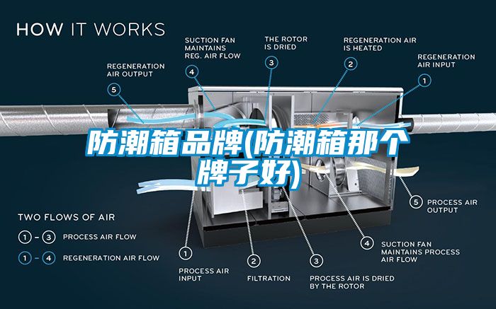 防潮箱品牌(防潮箱那個牌子好)