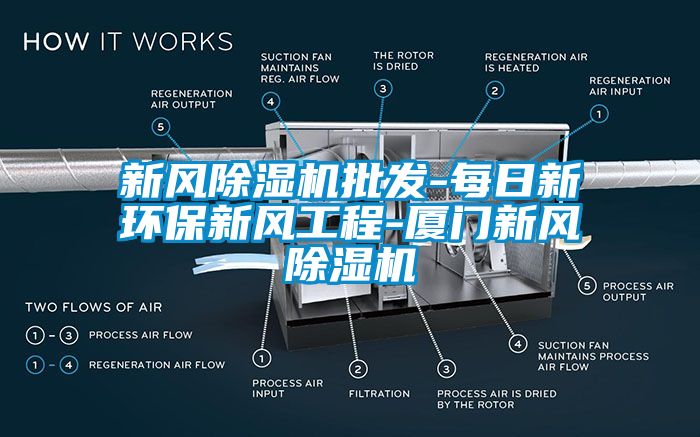 新風(fēng)除濕機(jī)批發(fā)-每日新環(huán)保新風(fēng)工程-廈門新風(fēng)除濕機(jī)